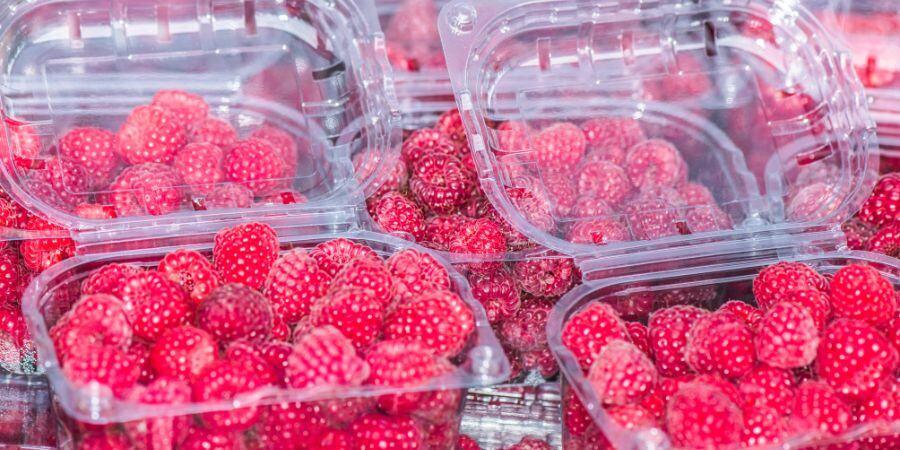 Top 5 Benefits of Using a Clamshell Package for Fresh Foods